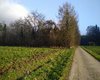 Forsthaus Breitenbrunn  Groe Anzahl aktueller Bauernhuser, Bauernhfe, Reiterhfe, alte Mhlen - hier finden auch Sie IHR Bauernhaus, Bauernhof, Reiterhof oder alte Mhle!